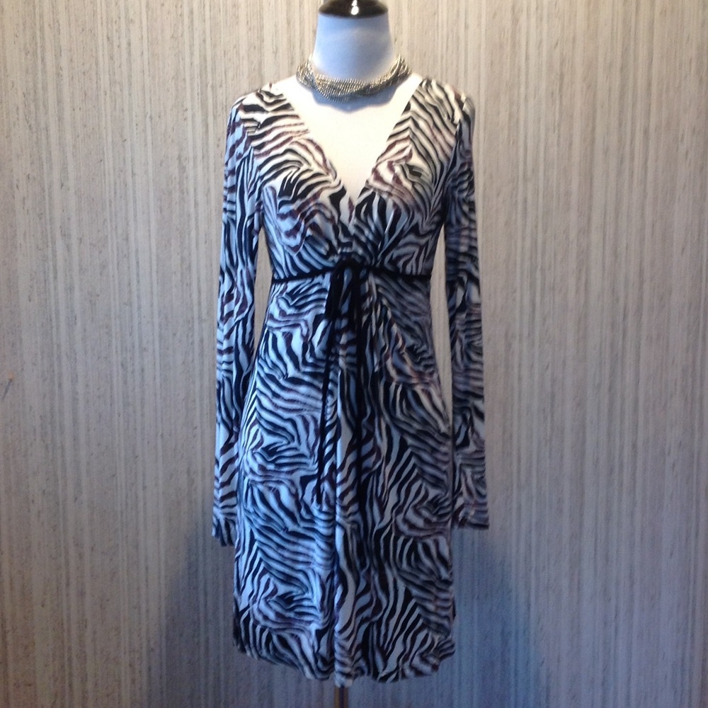 Zebra Dress Soft Comfy